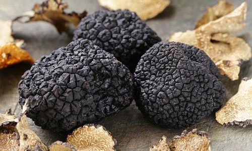 le caratteristiche del tartufo bianco