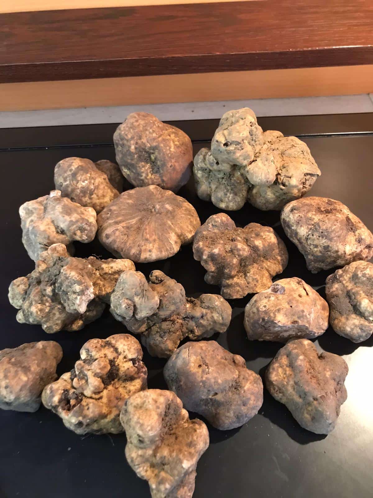 tartufo nero per olio